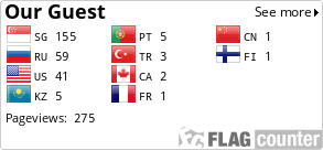 Flag Counter