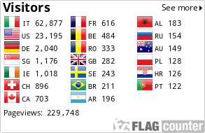 Flag Counter