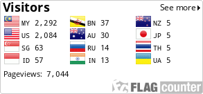 Flag Counter