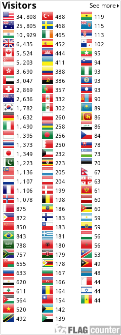 Flag Counter