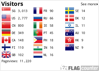Flag Counter