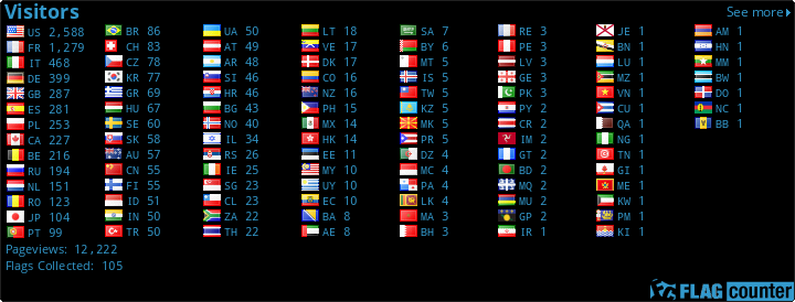 Flag Counter