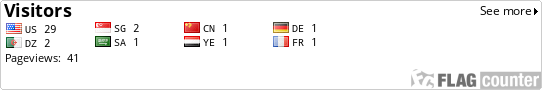 Flag Counter