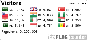 Flag Counter