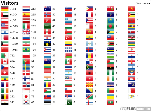 Flag Counter