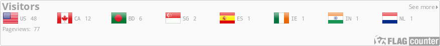 Flag Counter